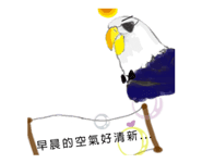 282325620