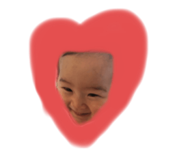 282394850