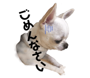 282406694