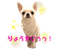 282406695