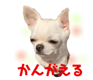282406697