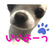 282406699