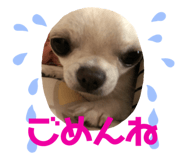 282406700
