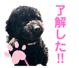 282440304