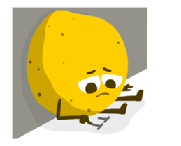 282440624