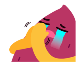 282440636