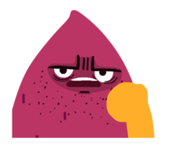 282440637