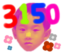 282456630