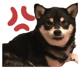 282485152