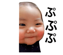 282587393