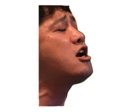 282629568