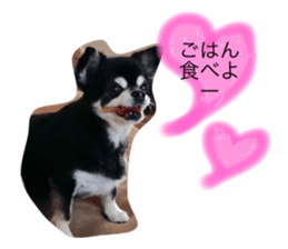 28263359