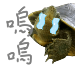 282673451