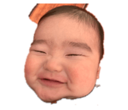 282695547