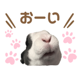 282715485
