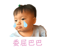 282732147