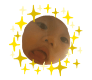 282732162