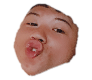 282742673