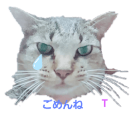 282871530