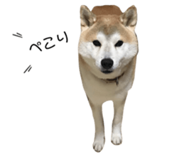 282967146