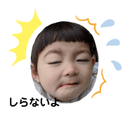 283005808
