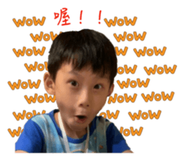 283031977