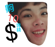 283070550