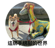 283073192