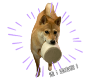 283073196