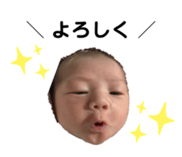 283247208
