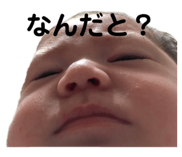 283247214