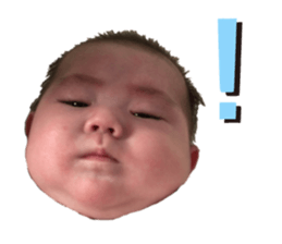 283247228