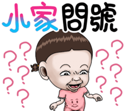 283256555