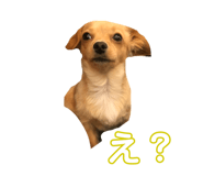 283269911