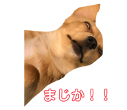 283269912