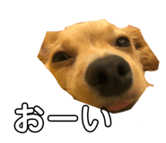 283269915