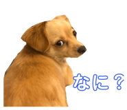 283269917