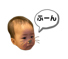 283275609