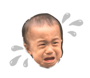 283365959