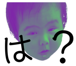 283402636