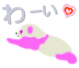 28343338