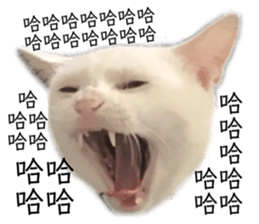 283497906