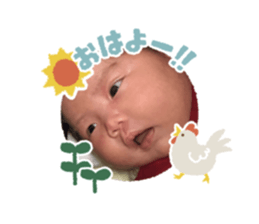 283501044