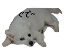 28358785