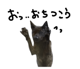 283616533