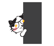 28369940