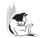 28369943