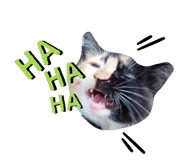 283717017
