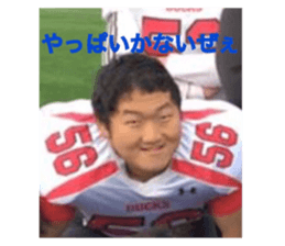 28373632