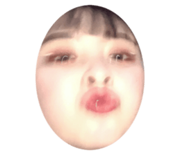 283802639